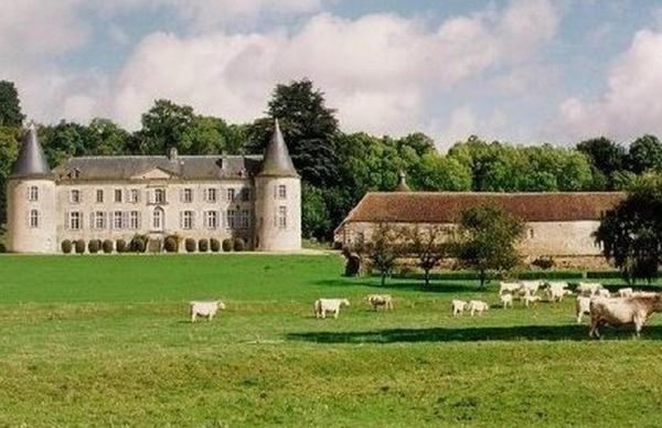 Sens-Beaujeu Chateau De Beaujeu المظهر الخارجي الصورة